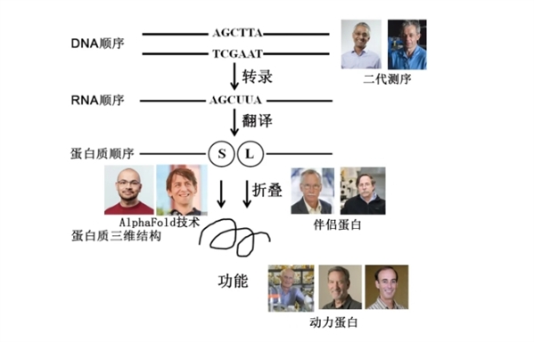 2024年诺贝尔化学奖猜想：会重新回归生物化学领域吗？