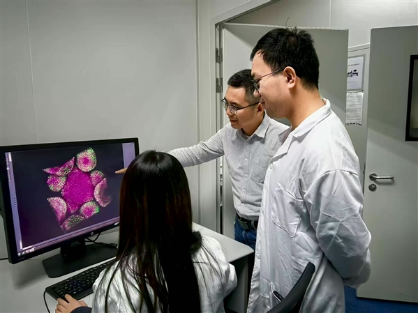 颠覆传统认知！植物干细胞中藏着“时间胶囊”